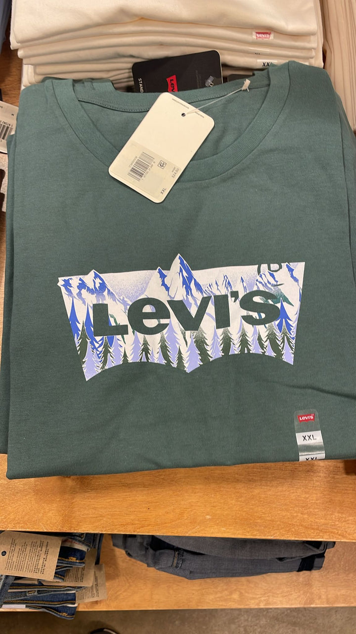 Levi's Big Logo & Mountain T-Shirt Green